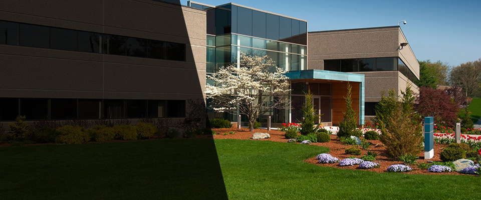 Whitewright Landscapers