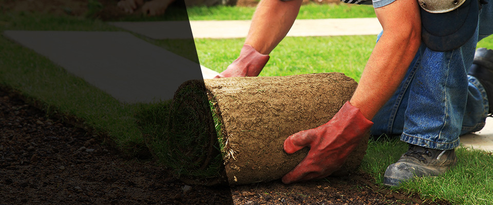 Whitewright Landscapers